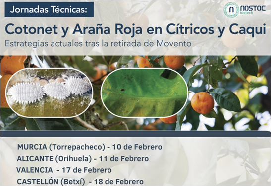 Jornadas técnicas NOSTOC Biotech: manejo del cotonet y la araña roja en cítricos y caqui (VARIAS FECHAS Y LOCALIDADES)